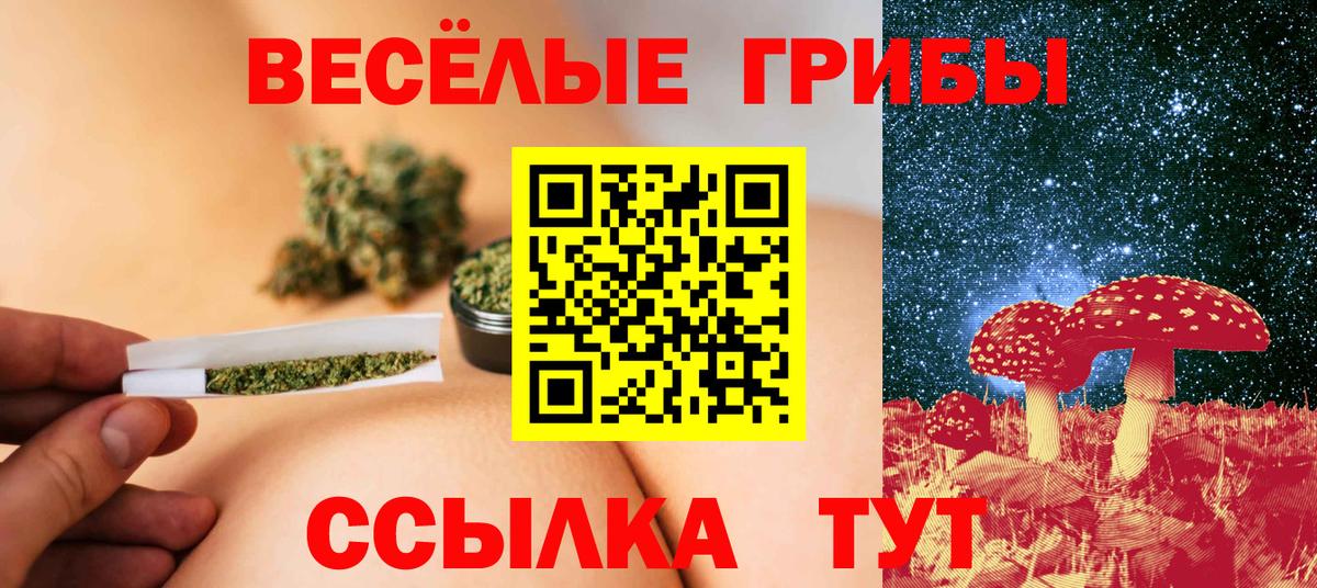 Партизанск  Галлюциногенные грибы ЛСД  Вход с VPN 