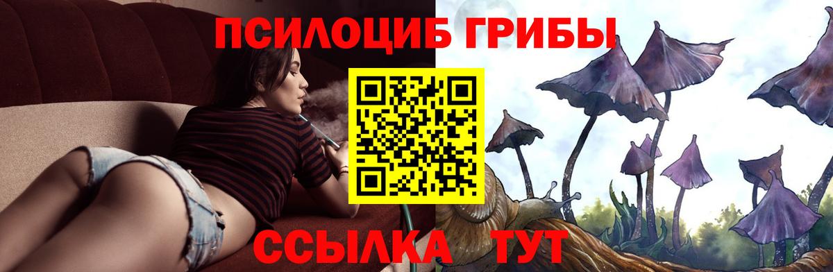 Галлюциногенные грибы MAGIC MUSHROOMS Партизанск