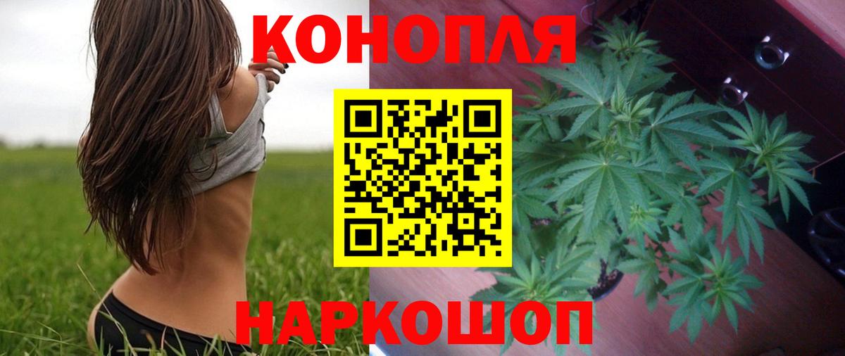 Канабис тримм  Вход с VPN  Бошки марихуана SATIVA & INDICA  Бошки марихуана планчик  Партизанск 
